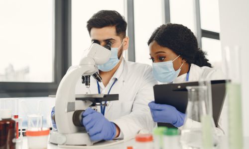 bpharma